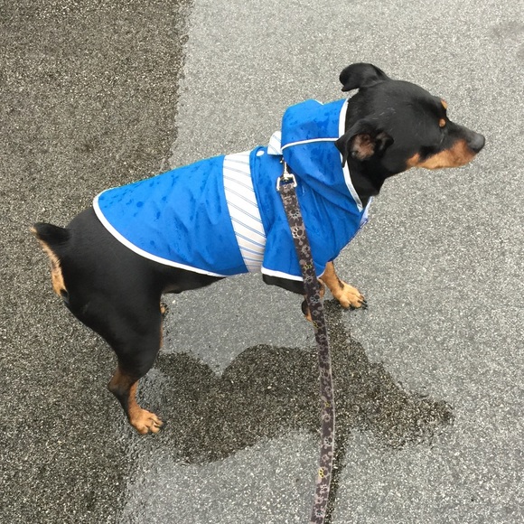 Good2Go Dog Reversible Dog Raincoat Poshmark